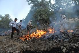 کاهش آتش‌سوزی در مراتع و جنگل‌های استان تهران