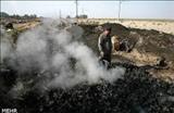 برخورد با کوره های غیرمجاز تولید زغال در ملارد