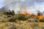 وقوع ۴۰ مورد آتش سوزی در مراتع استان تهران