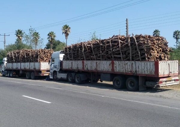 کشف ۲۰ تن چوب قاچاق در ملارد