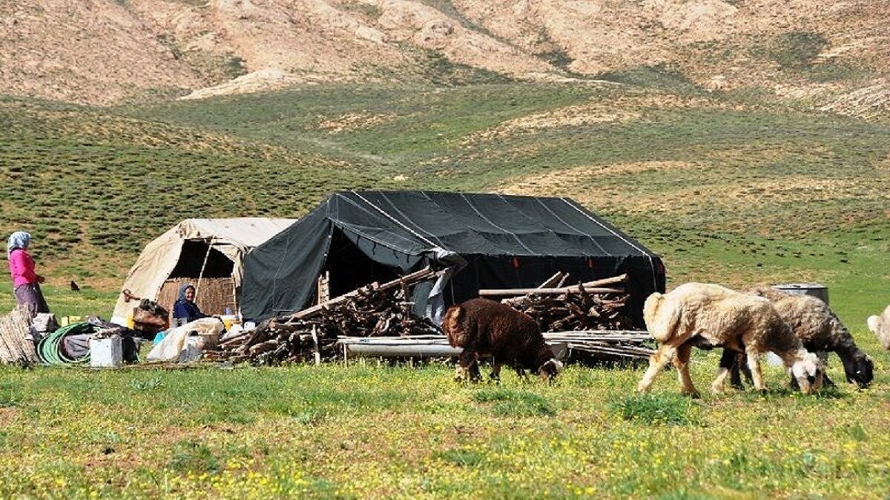 زندگی  ۱۴ هزار نفر از عشایر کشور در استان تهران