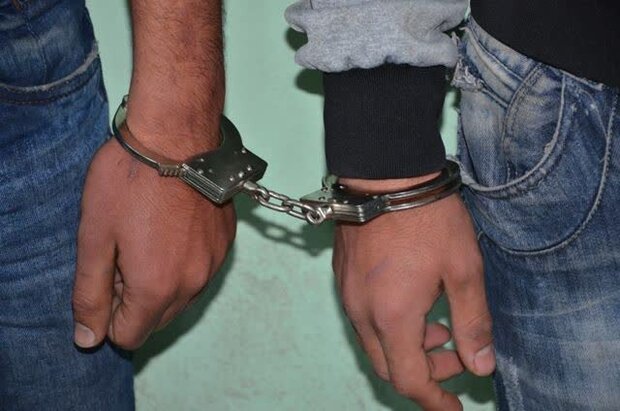 دستگیری ۱۳ نفر از مخلان نظم و امنیت در پاکدشت
