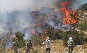 خطر آتش سوزی  در عرصه های منابع طبیعی تهران