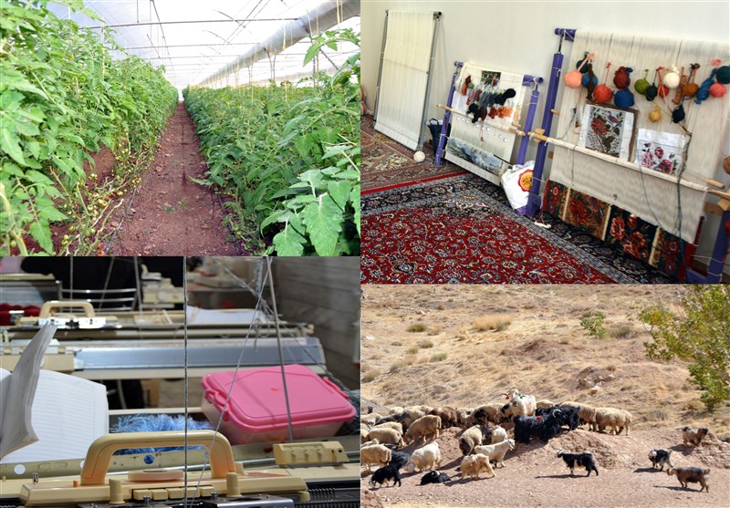 تجاری‌سازی ظرفیت‌های روستایی استان تهران