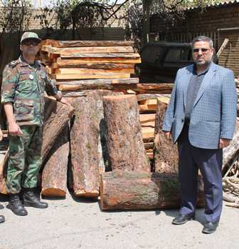کشف بیش از 3 تن چوب قاچاق در شهریار