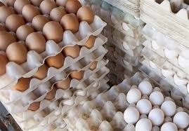 تولید 16درصد تخم مرغ کشور در استان تهران