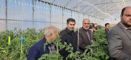 افتتاح مجتمع گلخانه ای حصار گلی شهرستان ورامین