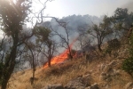 مهار آتش سوزی در عرصه های جنگلی کوهسار