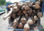 کشف و ضبط چوب قاچاق در جنوب غرب تهران
