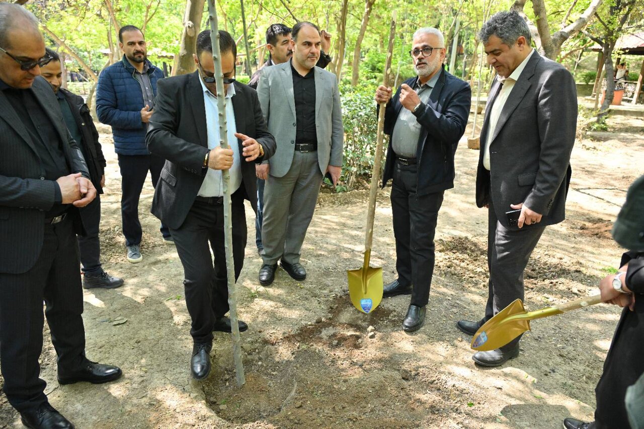 کاشت ۴۰ هزار نهال در شمال تهران